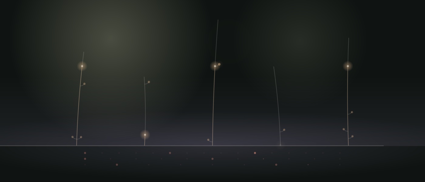The First Light garden: five thin stems on a dark ground line, with glowing buds.