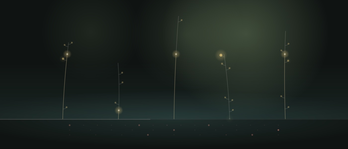 The Glasshouse garden: five thin stems on a dark ground line, with glowing buds.