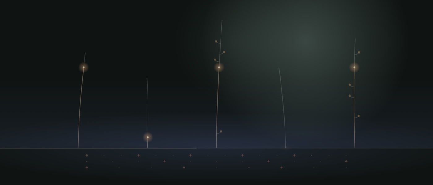 The Night Ferry garden: five thin stems on a dark ground line, with glowing buds.