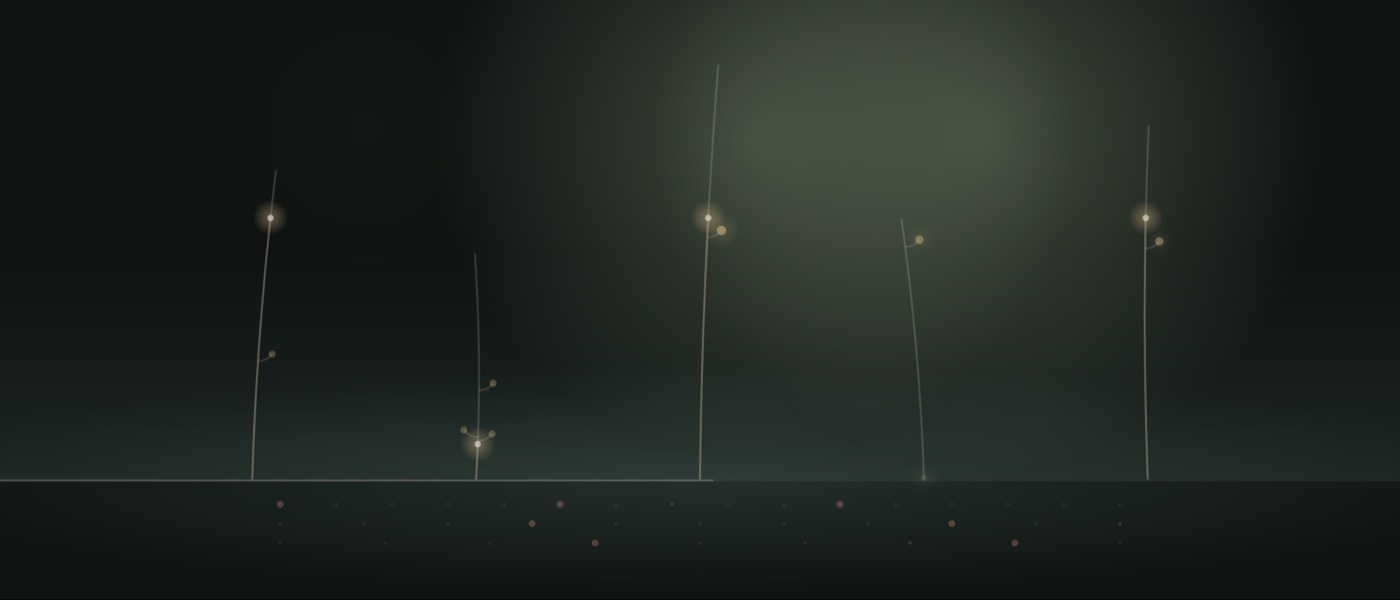 The Salt Marsh garden: five thin stems on a dark ground line, with glowing buds.